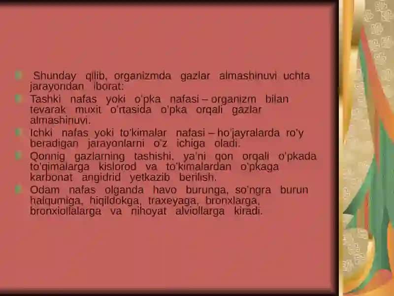 Nafas fiziologiyasi 3