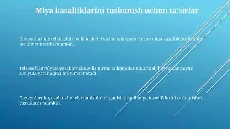 Umurtqali hayvonlarda telensefalonning rivojlanishi 3