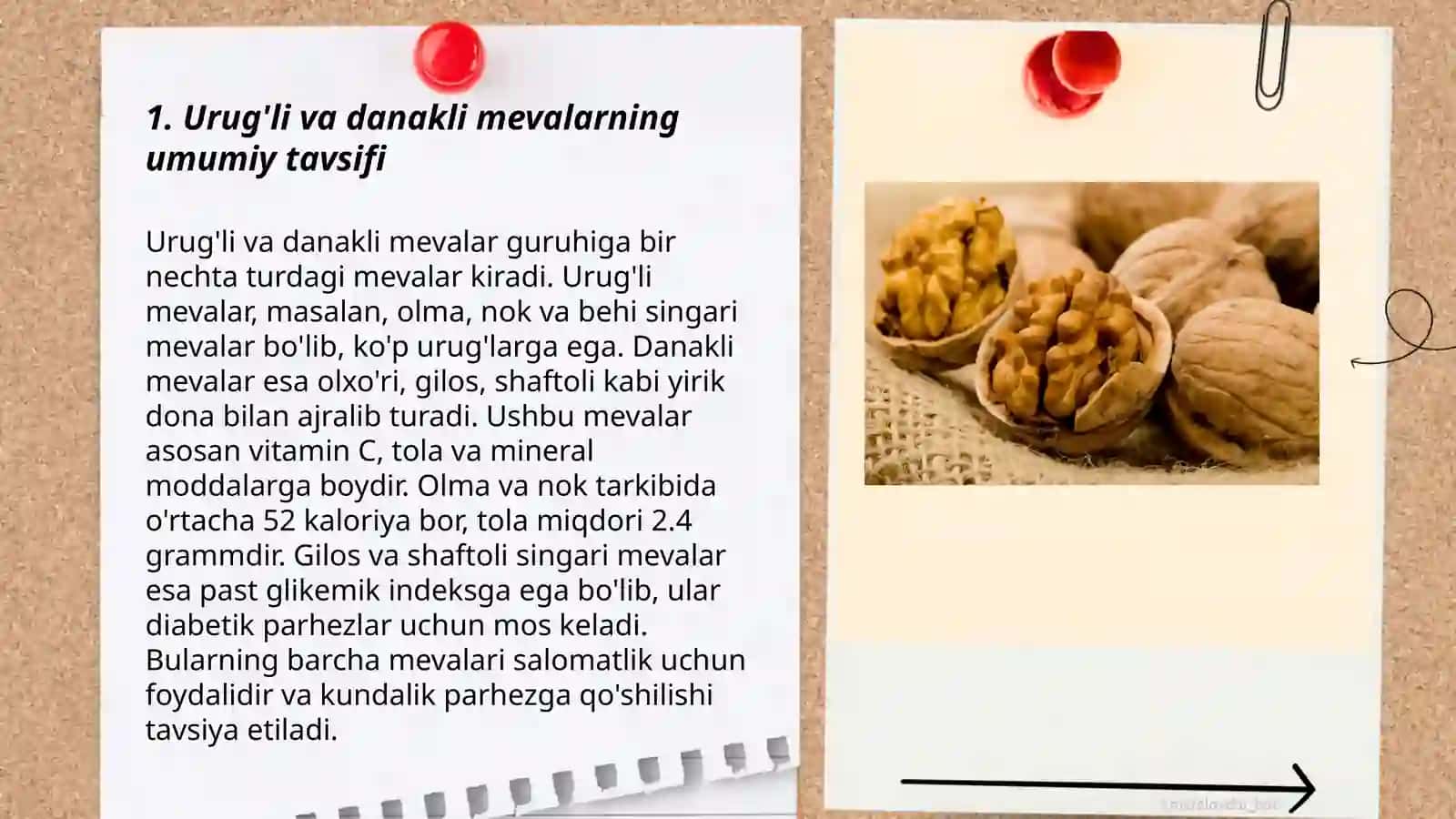 Urug’li va danakli mevalar. Morfologik belgilari va rivojlanishini kuzatish 3