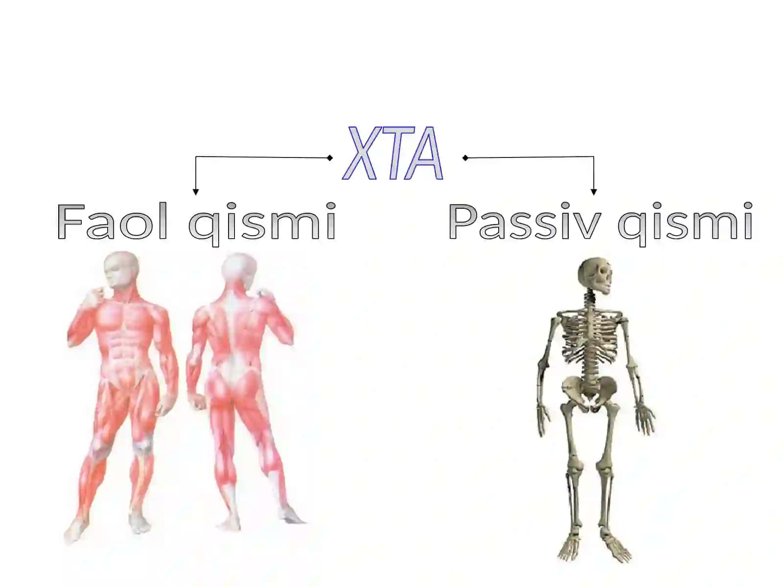 Xarakat-tayanch a’zolarida nuqsoni bo‘lgan bolalar 3