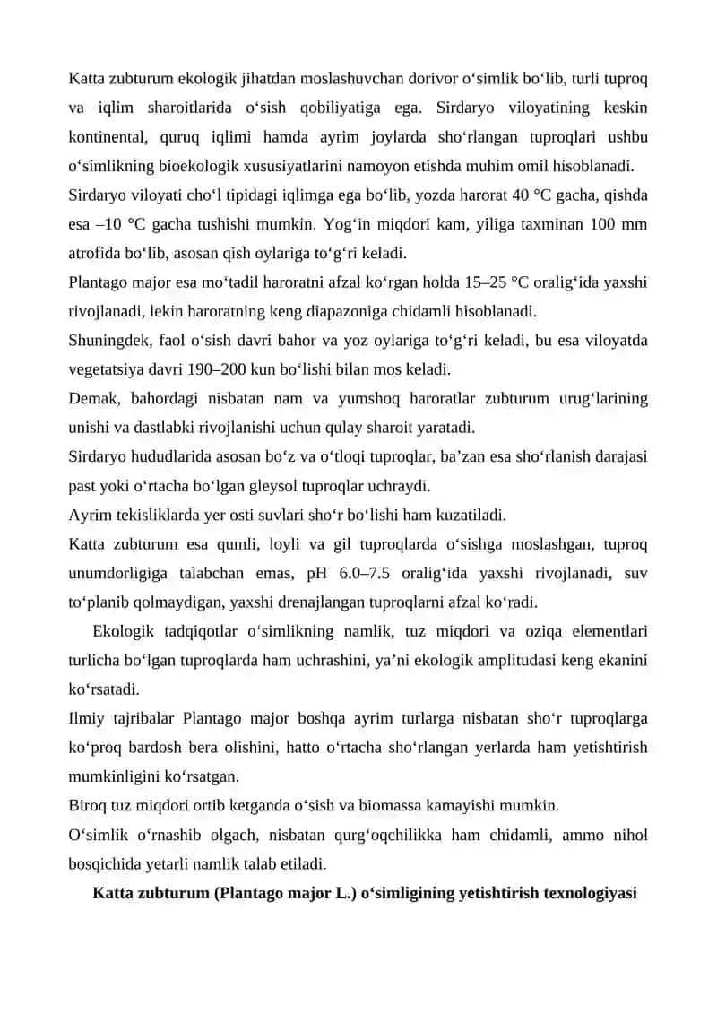 SIRDARYO VILOYATI TUPROQ IQLIM SHAROITIDA KATTA ZUBTURUM (PLANTAGO MAJOR L.) O‘SIMLIGINING BIOEKOLOGIK XUSUSIYATLARI VA YETISHTIRISH TEXNOLOGIYASI 3