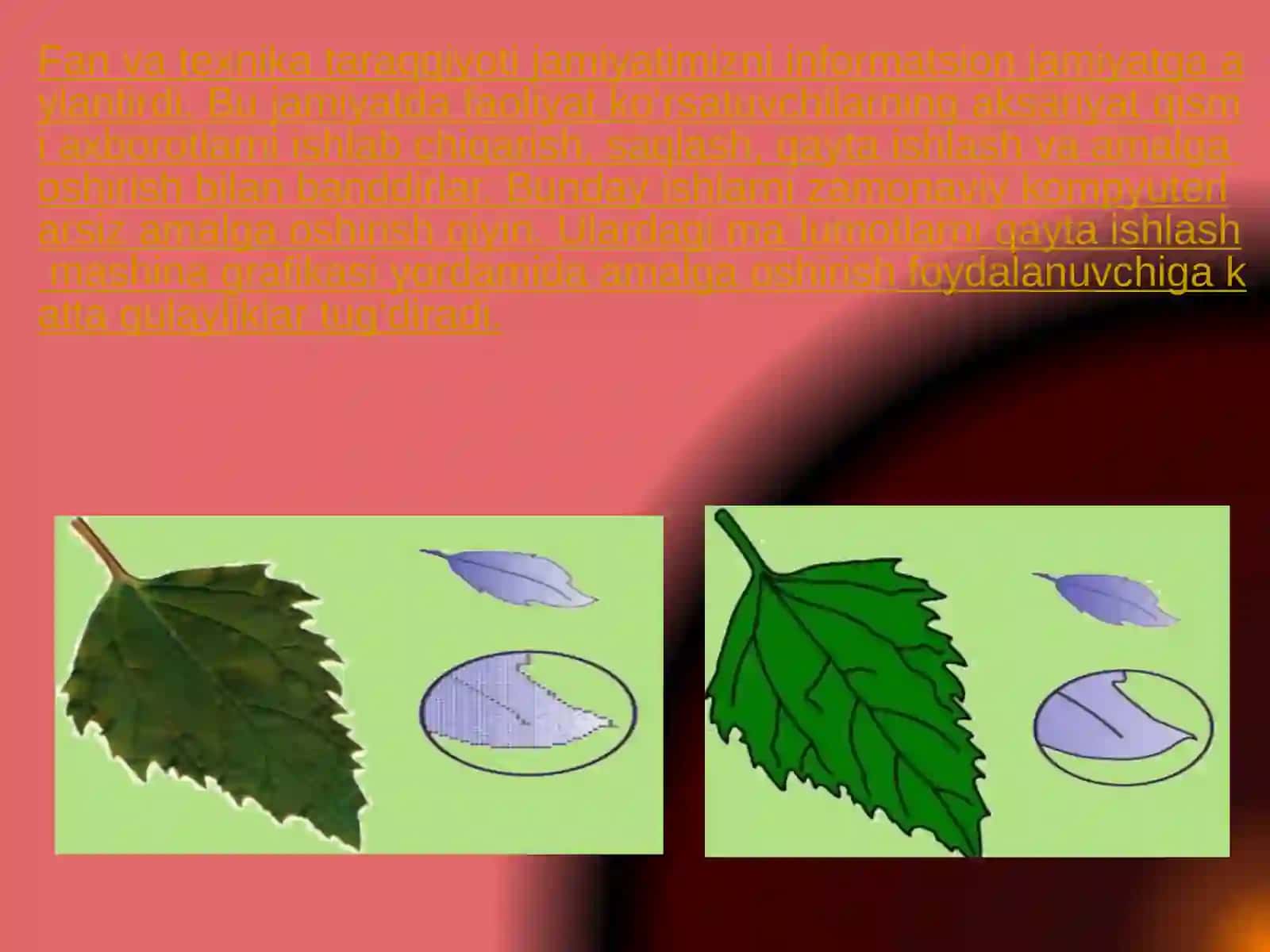 Jamiyatimizda kompyuter grafikasining qo‘llanish sohalari va rivojlanish istiqbollari 3