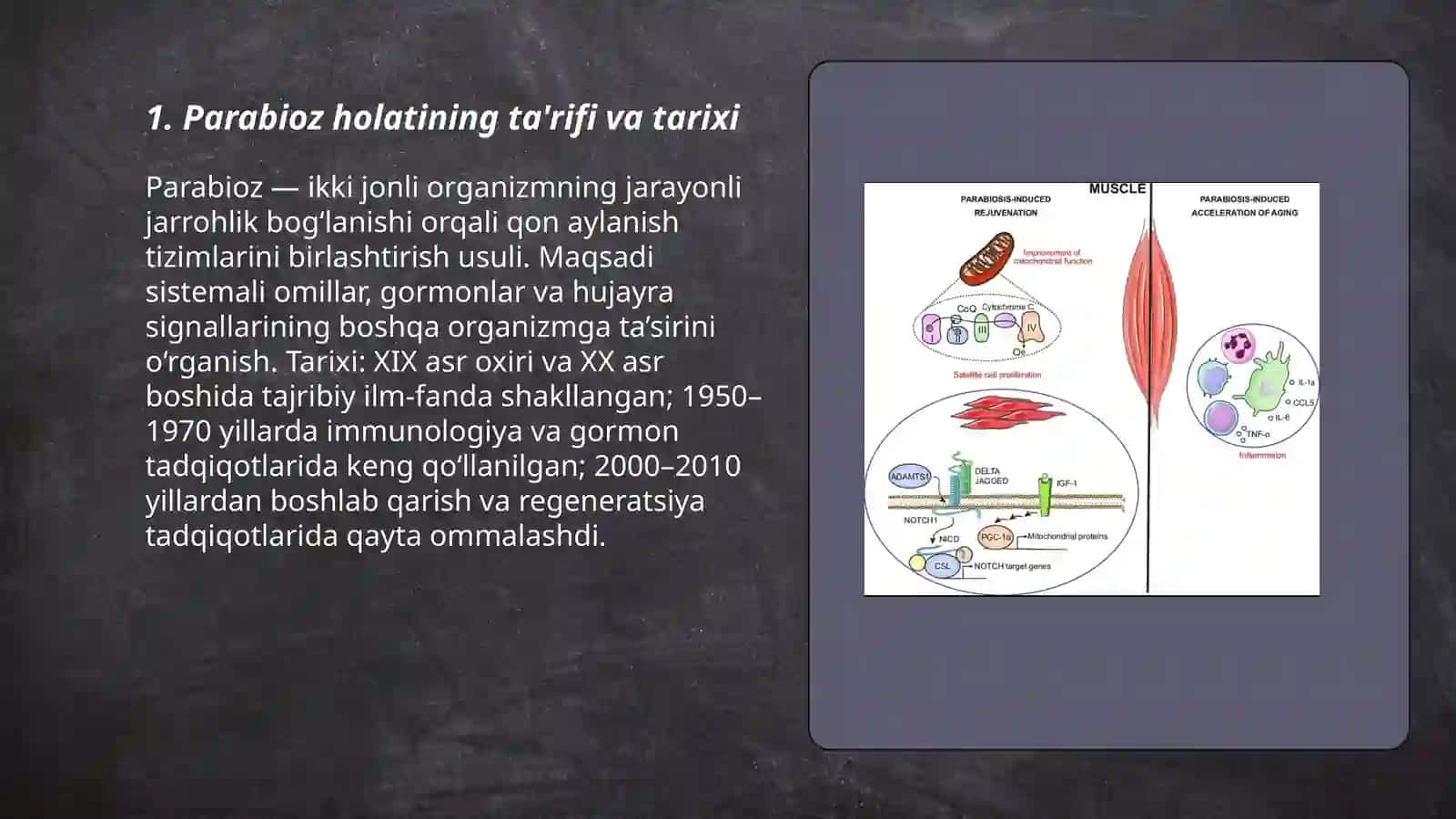 Parabioz holati. Glial hujayralarning funksiyalari. Akson transporti 3