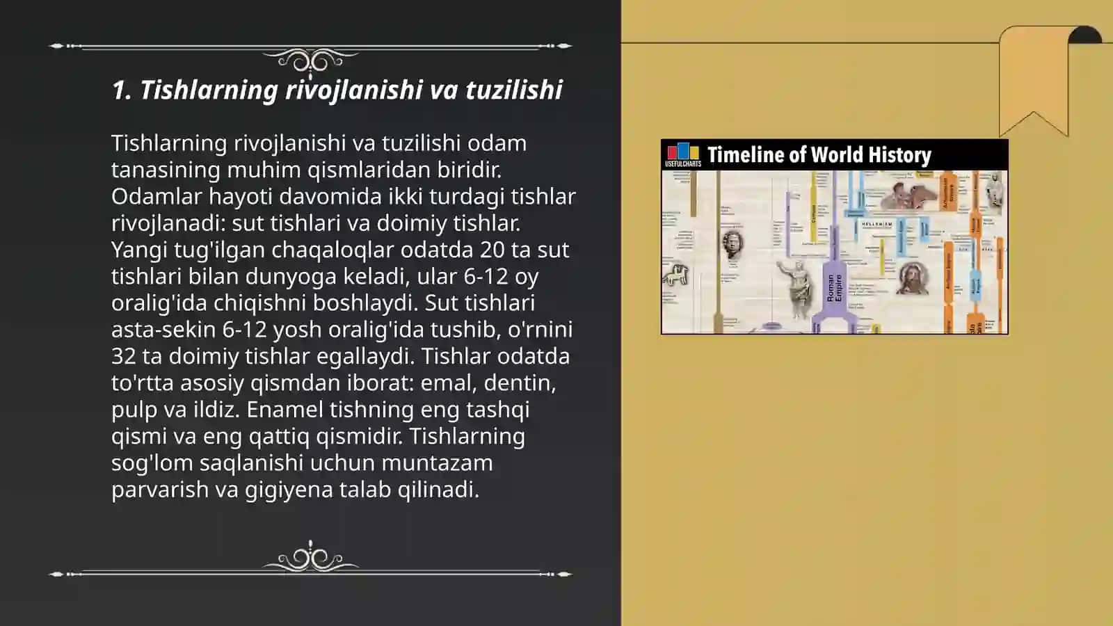 Tishlar rivojlanishining fiziologik bosqichlari 3