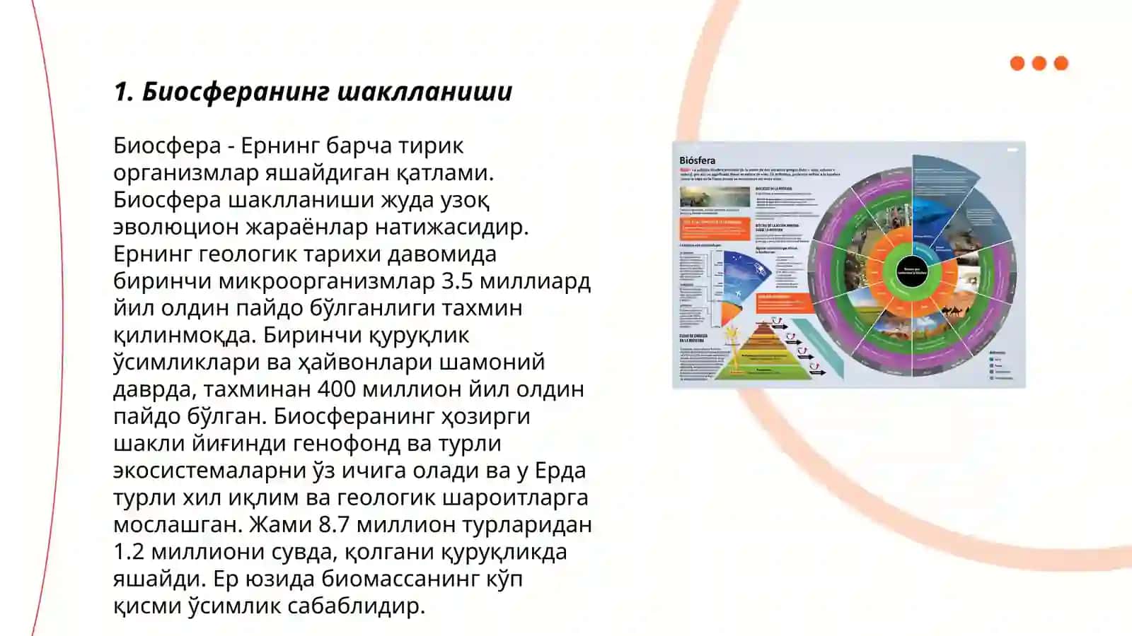 Биосфера эволюцияси, қатламлари 3