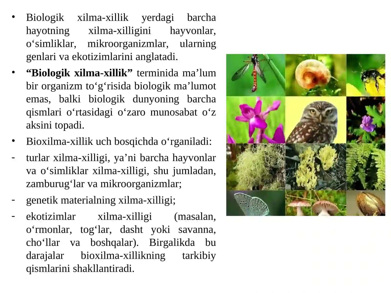 Biologik xilma-xillikni muhofaza qilish 3