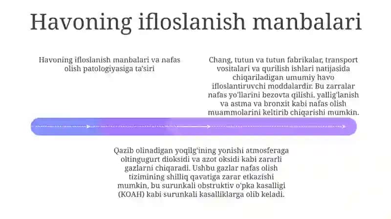 Havo Ifloslanishining OʻPka Patologiyasidagi Ahamiyati 3