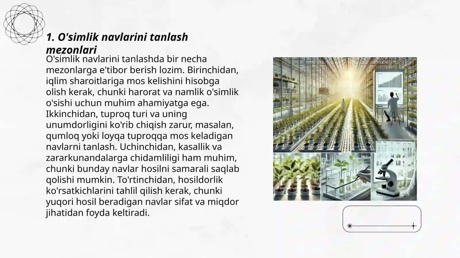 O'simlik navlari bilan tajriba qo'yish 3