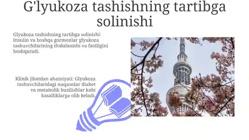 Glyukoza Tashuvchi Tuzilmasi va Funktsiyasi 3