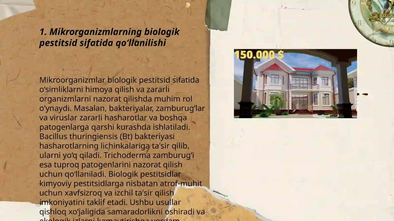 Mikrorganizmlarni qishloq xo'jaligida o'simliklarni himoya qilishda qo'llanilishi 3