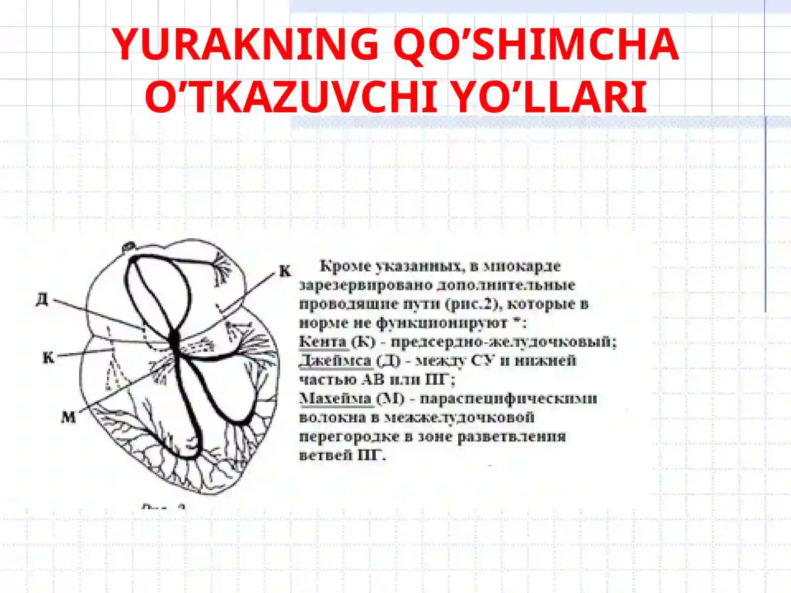 Fiziologiya, patofiziologiyava gigiyena kafedrasi 3