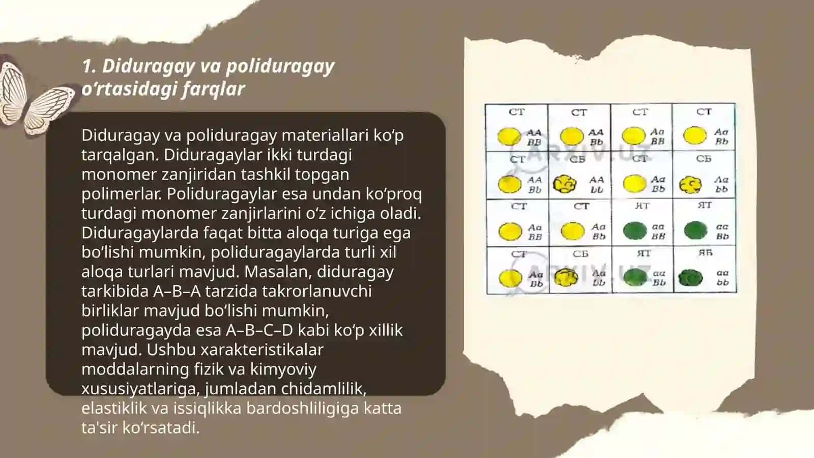 Diduragay va poliduragay chatishtirish.Allelmas genlarning oʻzaro taʼsiri 3