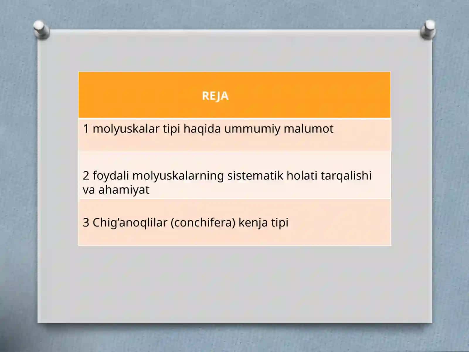 Foydali Molyuskalarning Sistematik Holati Tarqalishi va Ahamiyati 3