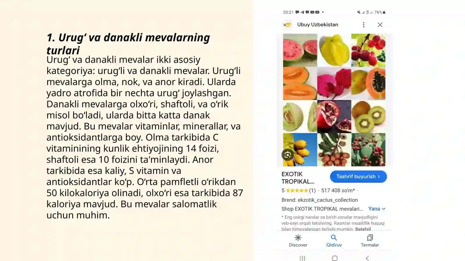 Urug‘ va danakli mevalar 3