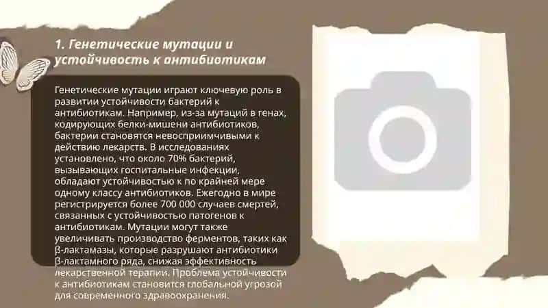 Механизмы формирования штаммов бактерий, устойчивых к химиотерапевтическим препаратам и антибиотикам. 3