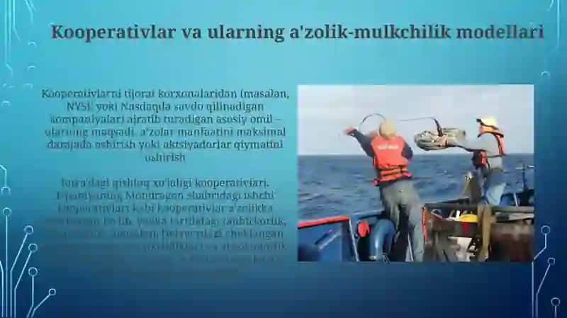 Kooperativlar va ularning a'zolik-mulkchilik modellari 3