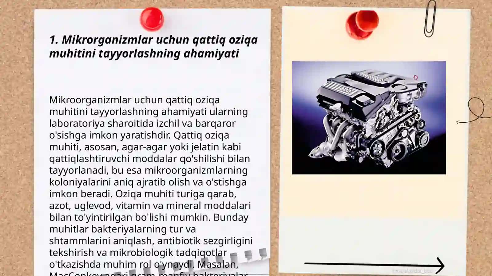MIKROORGANIZMLARGA QATTIQ OZUQA MUHITINI TAYYORLASH VA ZARARSIZLANTIRISH USULLARI 3