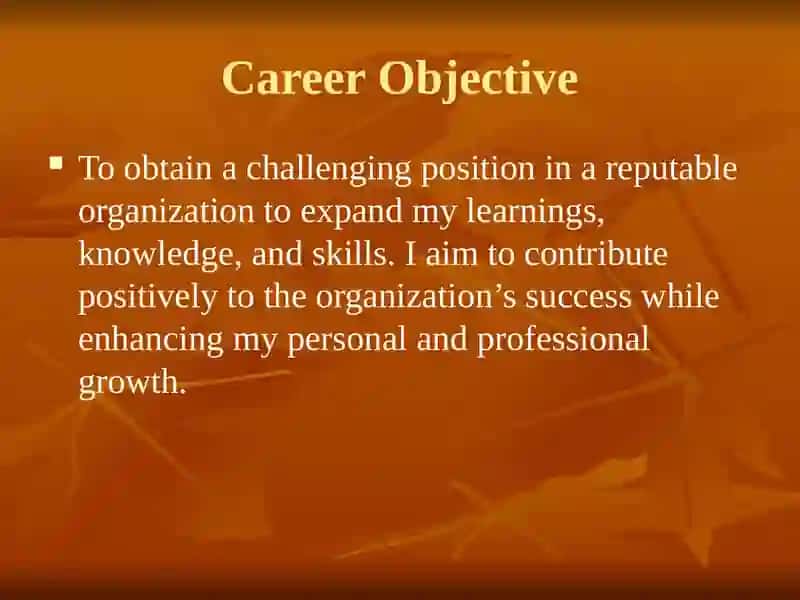 MyResume 3