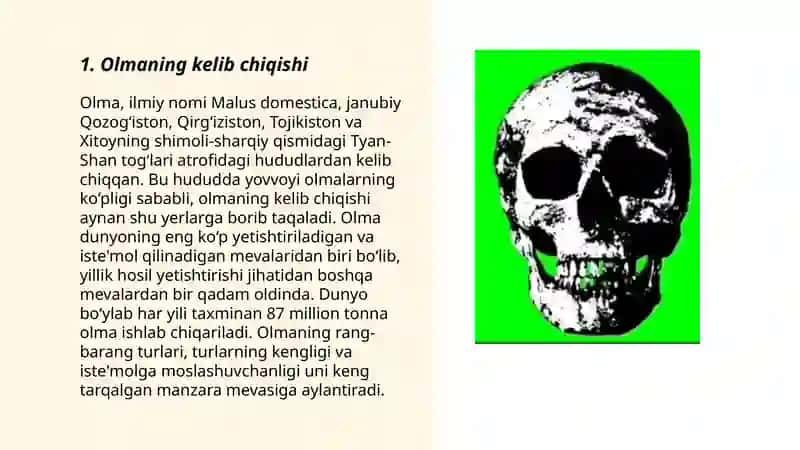 Olma 3