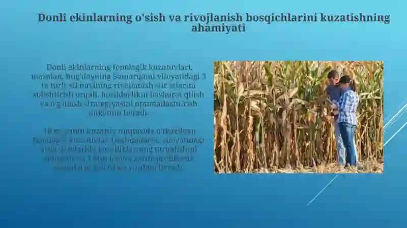 Fenologik kuzatishlar va tahkikotlar 3