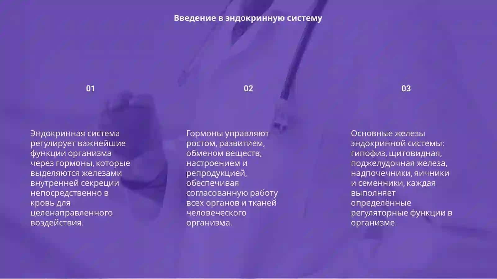 Ендокринная система 3