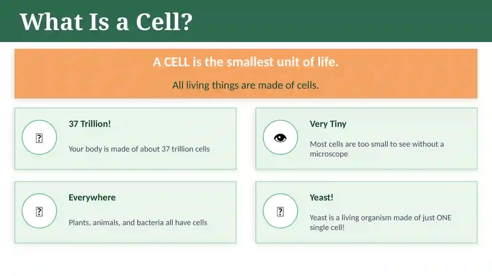 The Amazing World of Cells 3