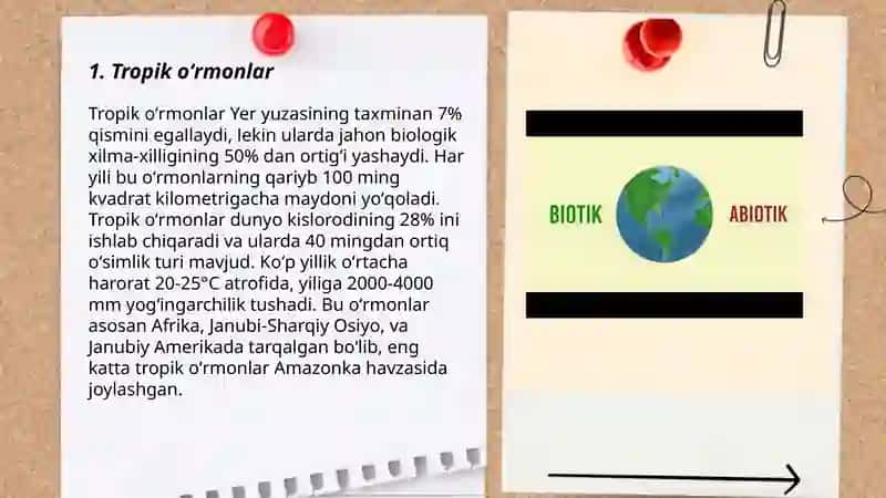 Quruqlikning biotik shox boʻlimlari,quruqlik biomlarining zonal tiplari 3