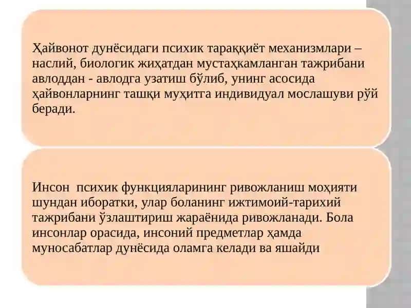 bola psixik rivojlanishining ijtimoiy o’rganish nazariyasi 3