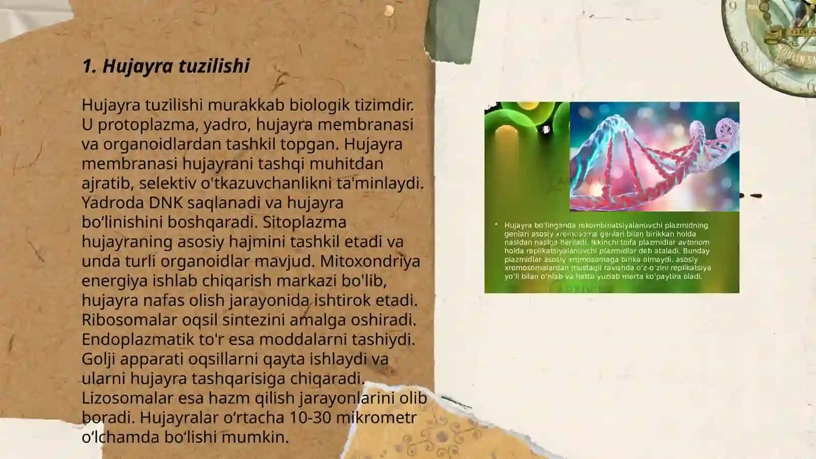Hujayra 3