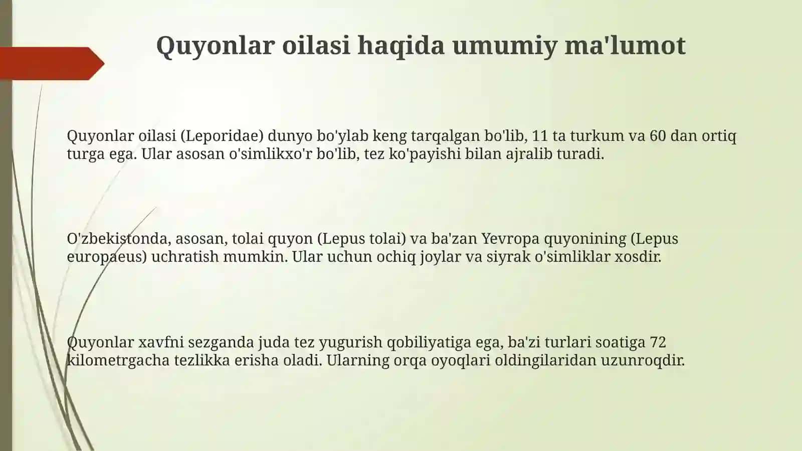 Quyonlar oilasi: Umumiy tavsif 3