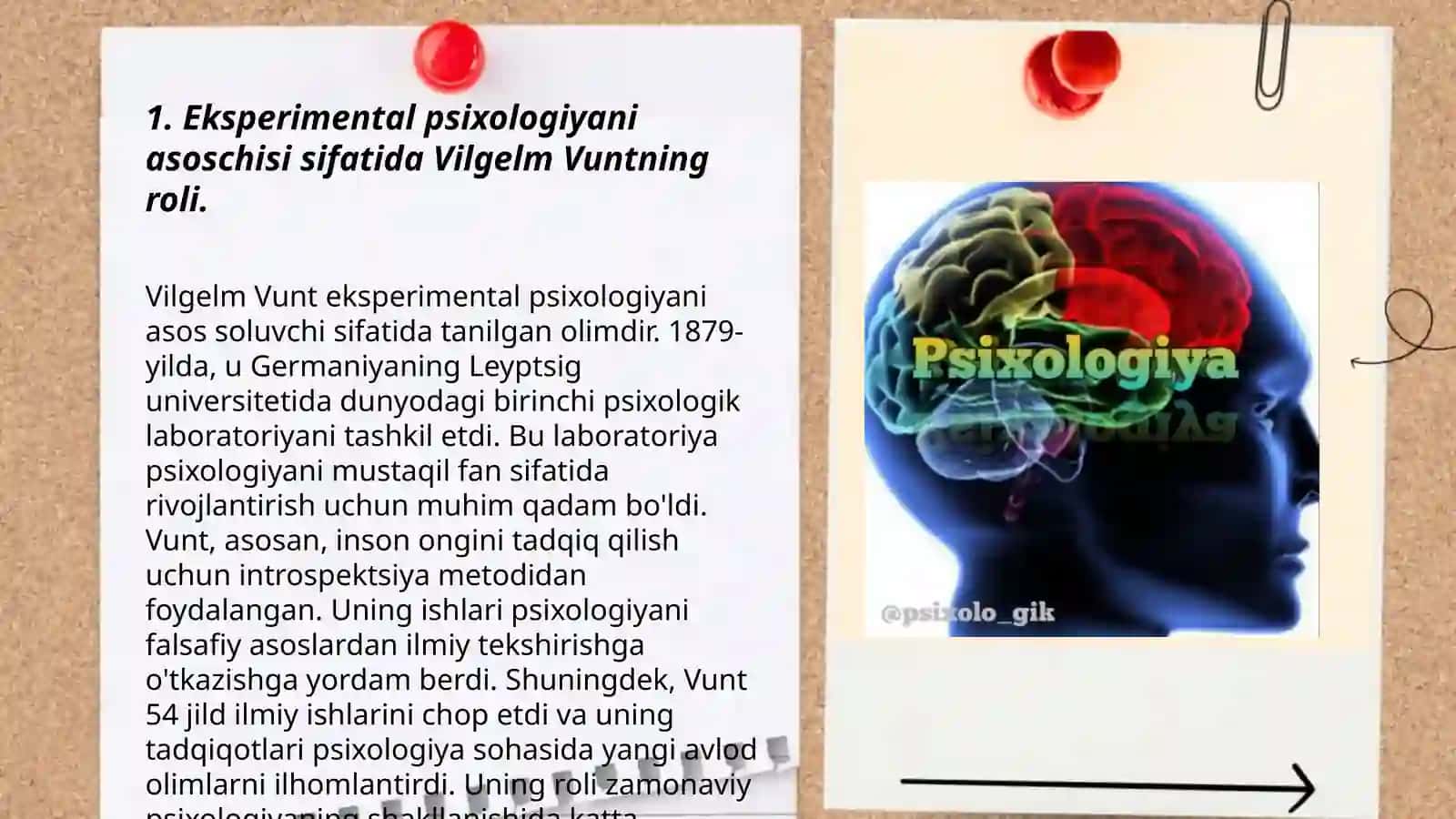 Vilgelm vuntning psixologiyaga qòshgan hissasi 3