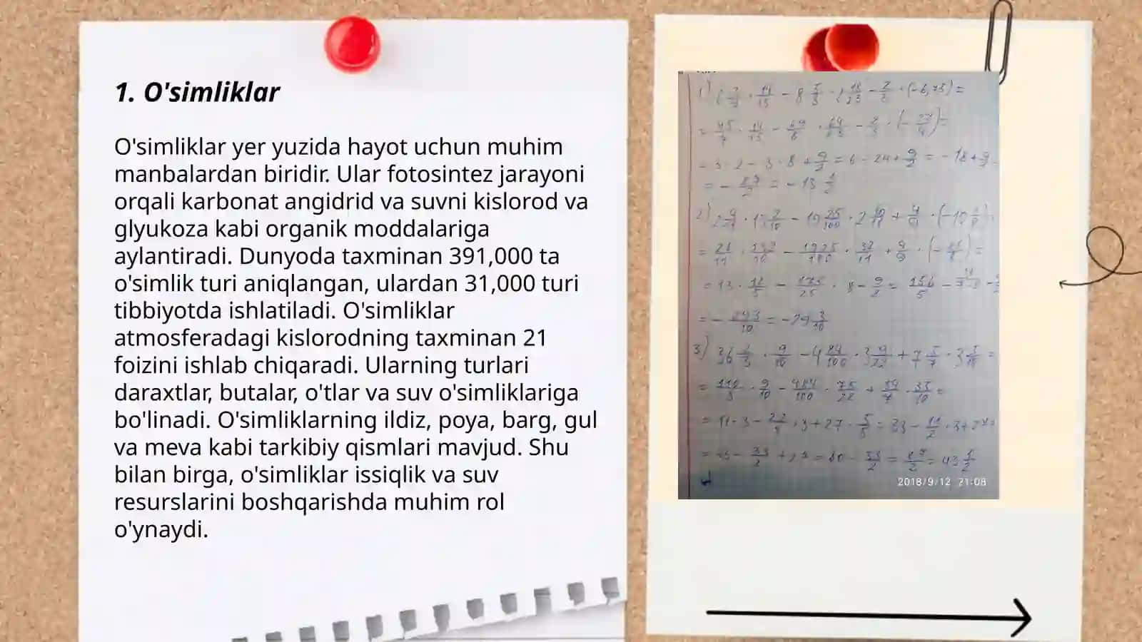 2-klasta "Tábiyiy pánler" pániniń maqset hám waziypalari 3