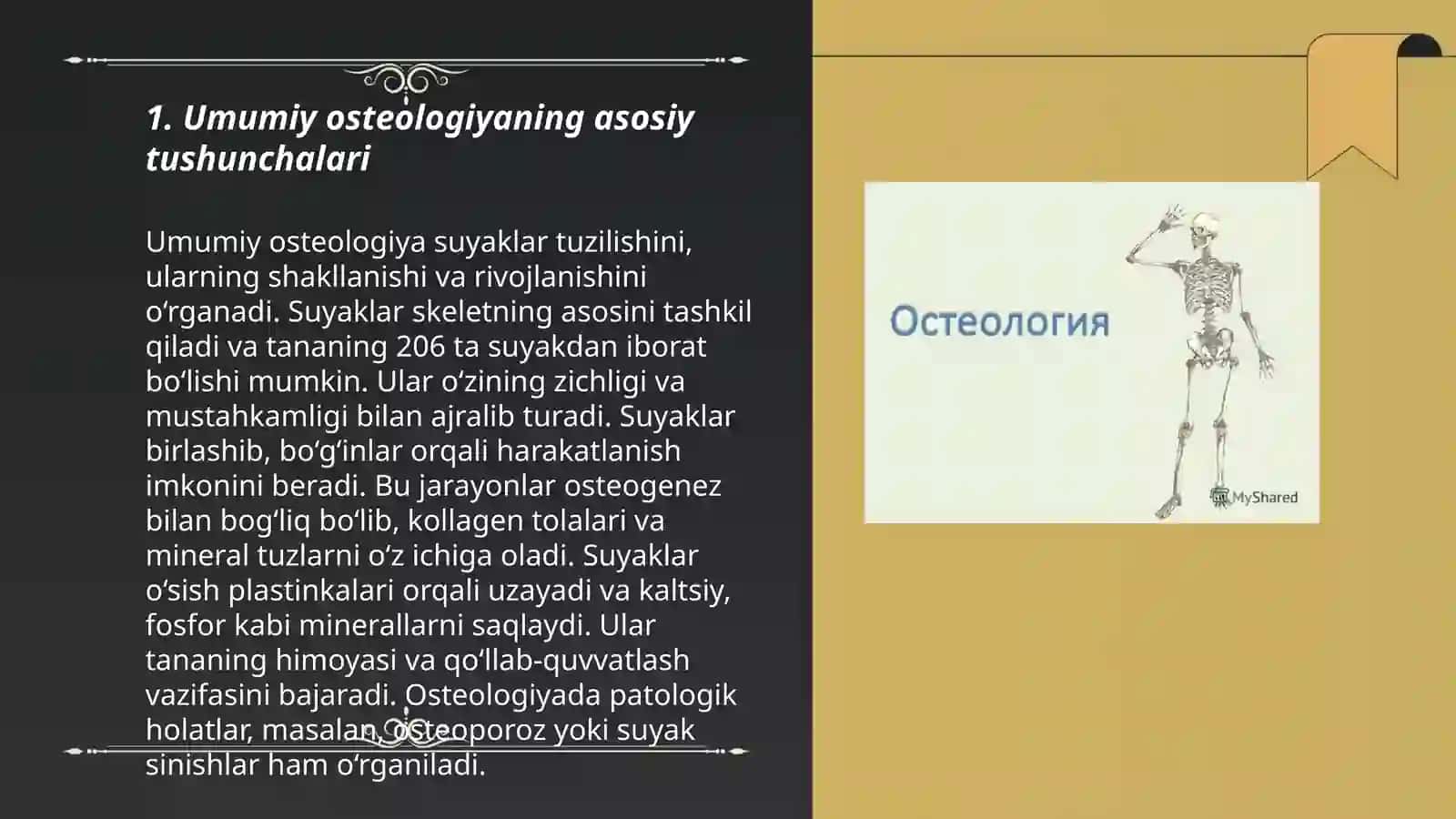 Umumiy osteologiya. Skelet haqida umumiy tushuncha 3
