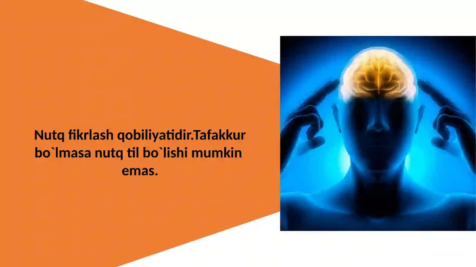 Nutqiy tafakkur rivojlanish muammolari 3