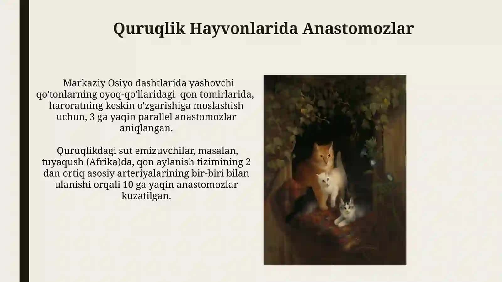 Anastomozlarning topografiyasi (turlarili hayvonlarmisolida) 3