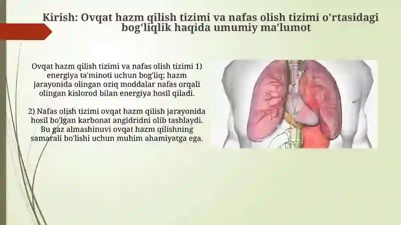 Ovqat hazm qilish tizimi va nafas olish tizimi 3