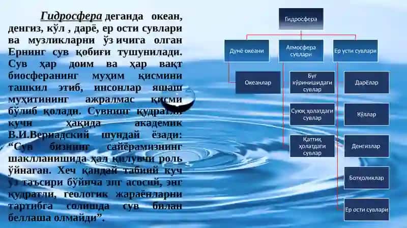 ЭКОЛОГИЯ» фанидан маъруза тақдимоти 3