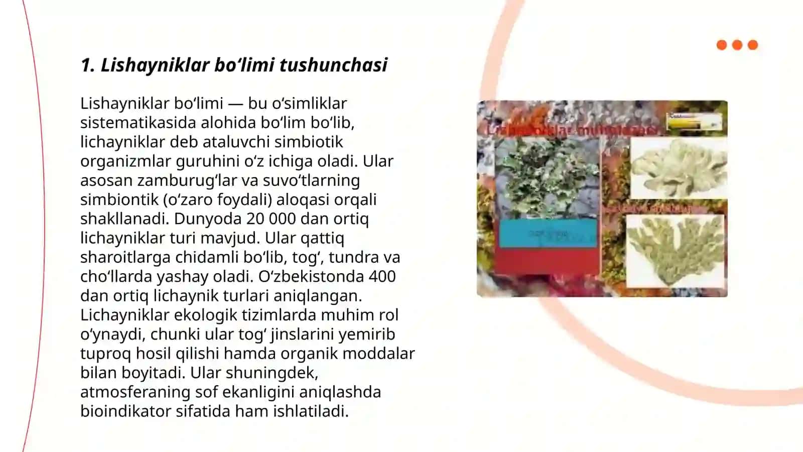 Lishayniklar bo‘limi tushunchasi 3
