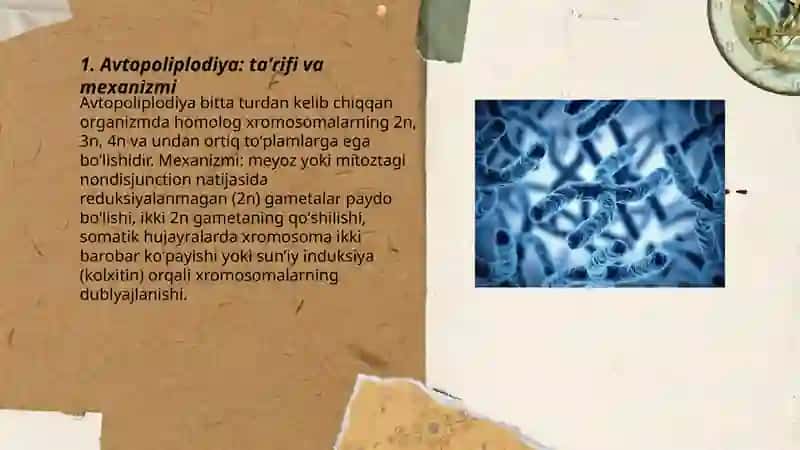 Avtopoliplodiya va allopolliploidiya. Sitoplazmatik mutatsiyalar 3