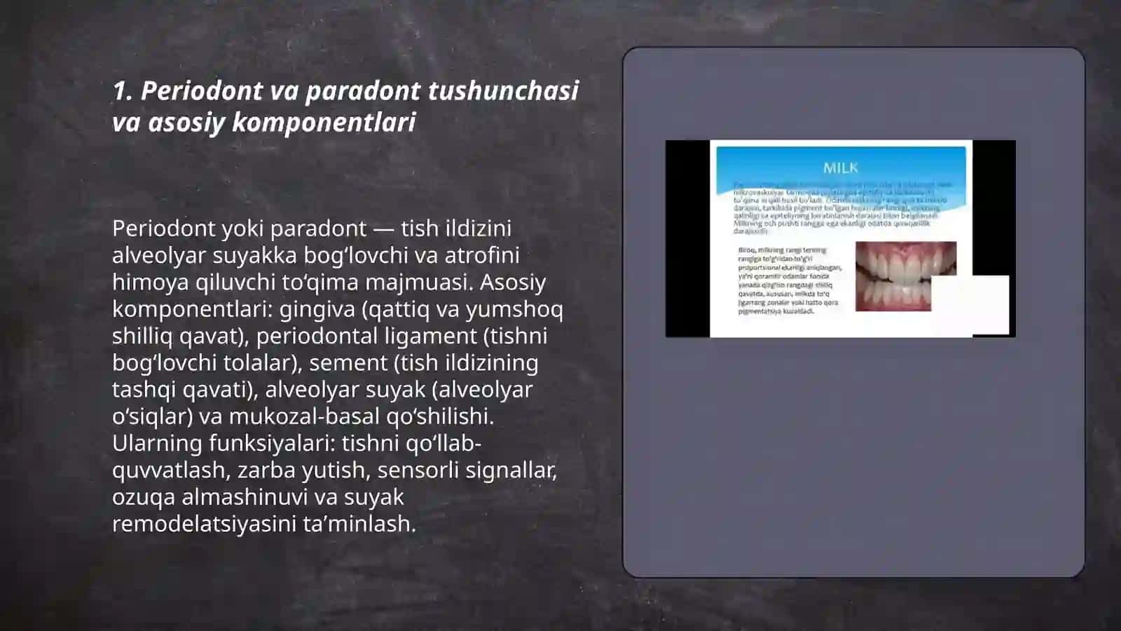 Periodont va paradont to‘qimasining anatomik va funksional xususiyatlari 3