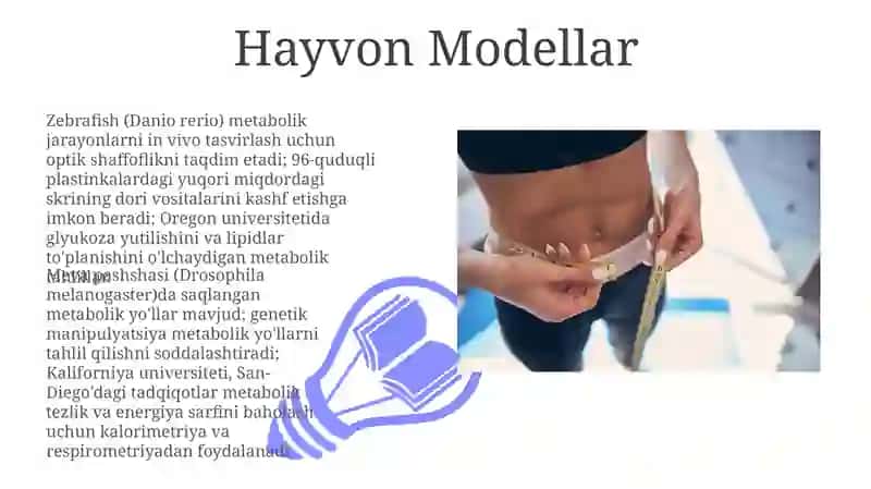 Hayvon Modellar 3