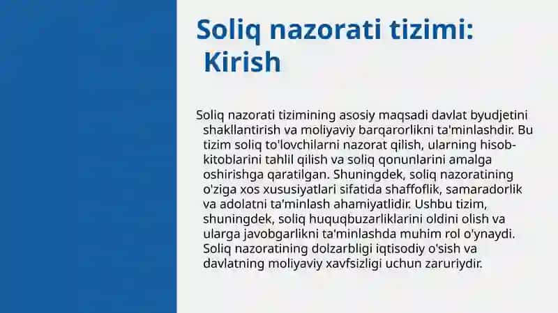 Soliq nazorati tizimi 3