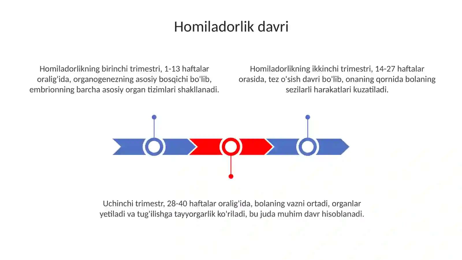 Inson organizmining yoshga qarab davrlanish me'zonlari 3