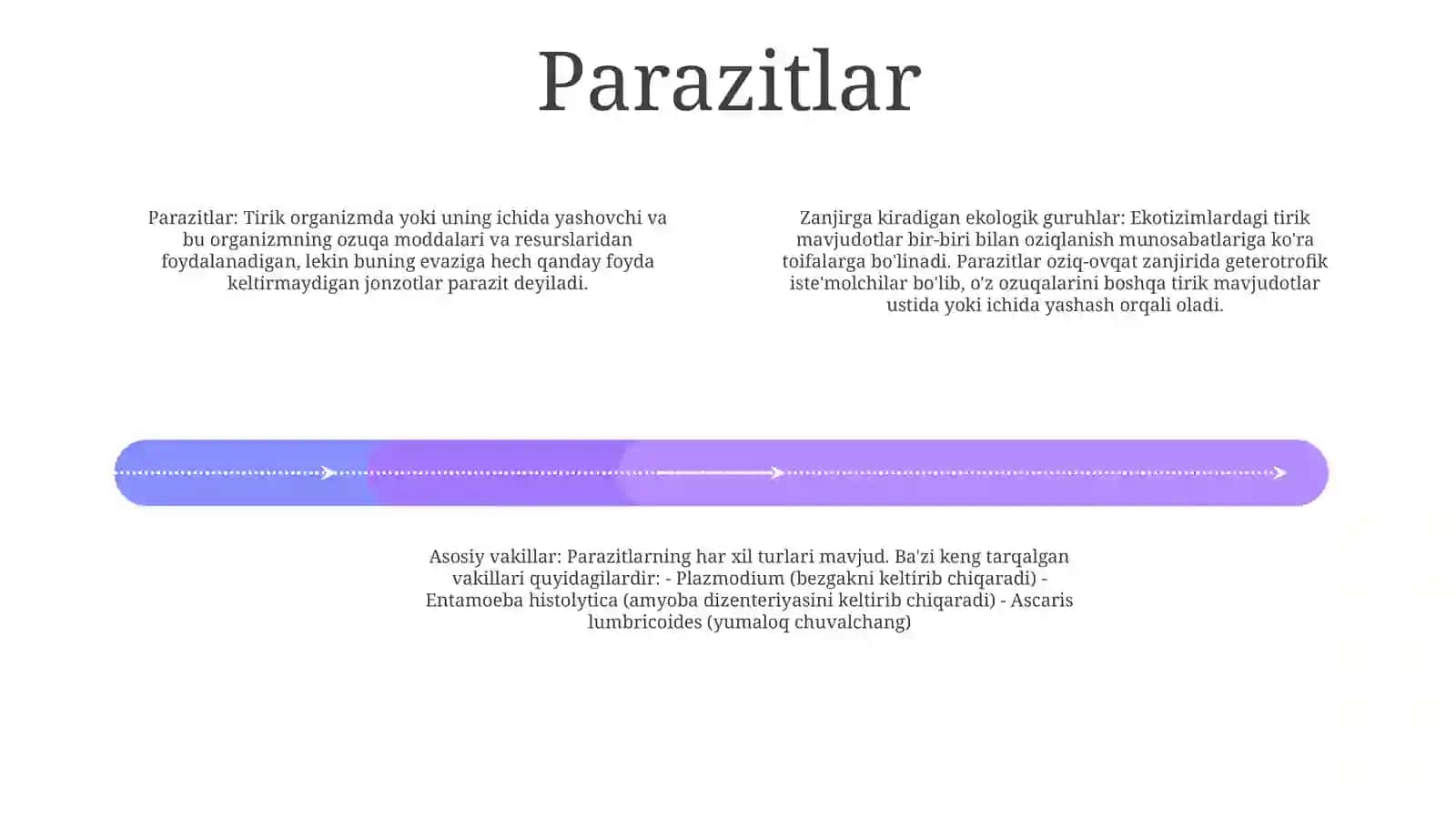 Zamburug'Larning Ekologik Guruhlari Va Asosiy Vakillari 3
