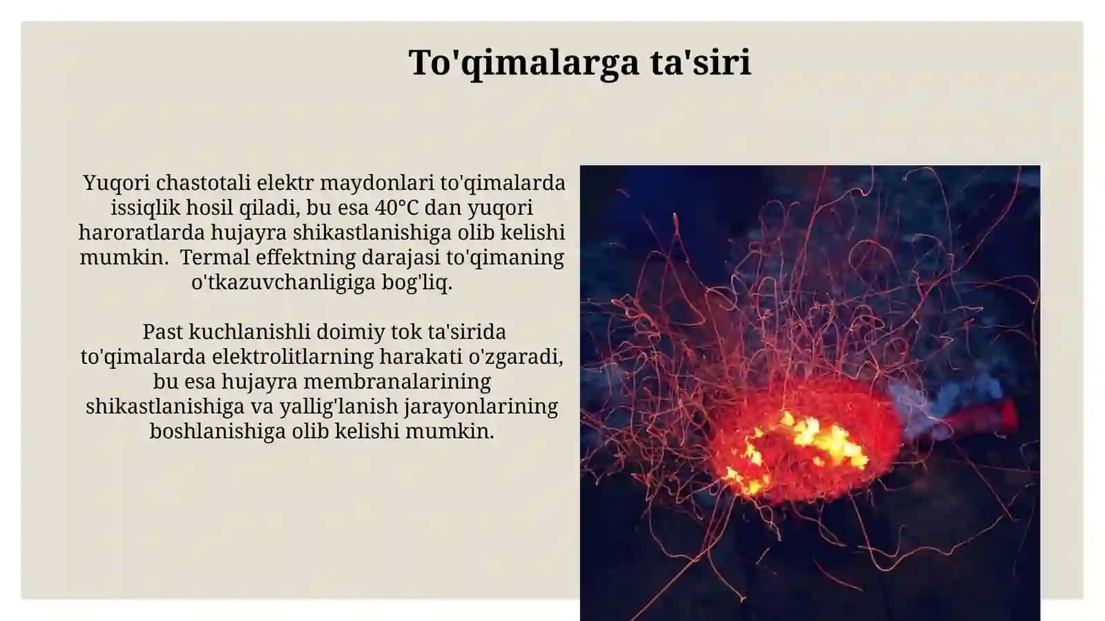 Elektir to'kini organizmga tasiri 3