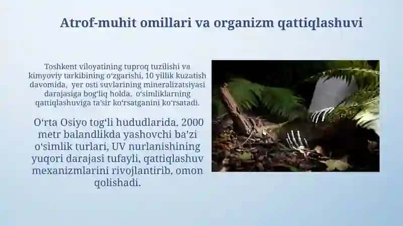 Organizmni chiniqtirishning voleologik ahamiyati 3