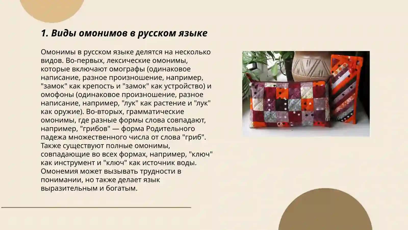 Омонимы в современном литературном языке 3