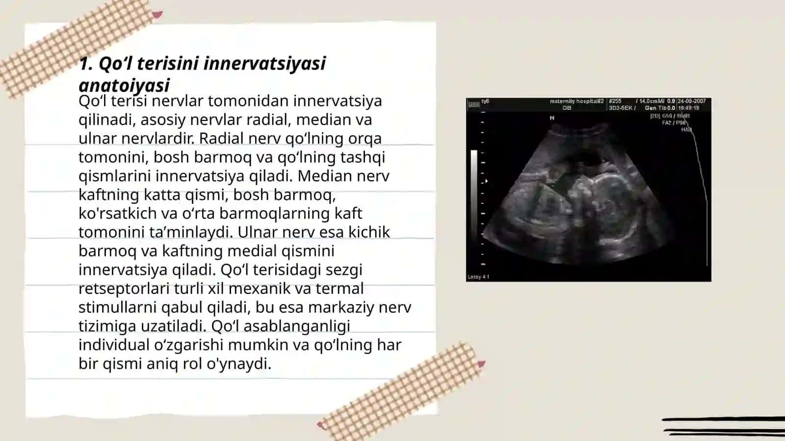 Qoʻl va oyoq terisini innervatsiyasi 3