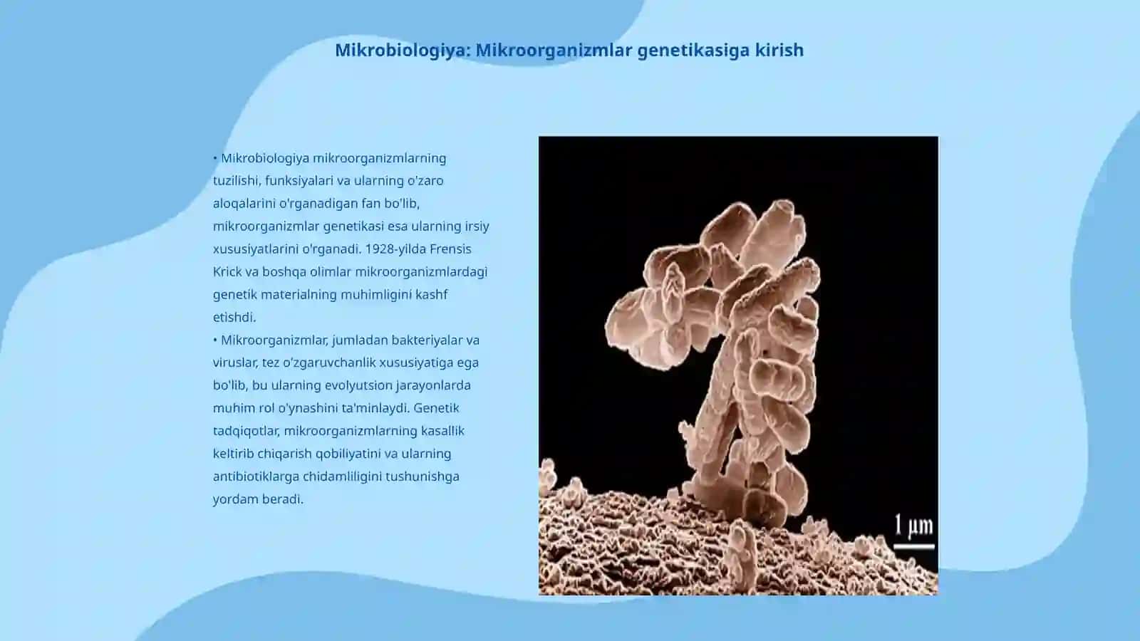 Mikrobiologiya: Mikroorganizmlar genetikasi 3
