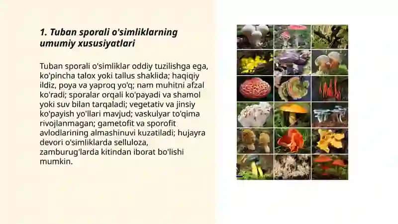 Tuban sporali o'simliklar 3